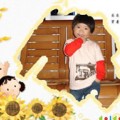 朵飛嬰童服飾—純棉T恤（2-5歲寶寶用）廠家 零批