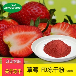 凍干草莓粉 凍干果蔬粉凍干食品脫水果蔬航天食品凍干產品