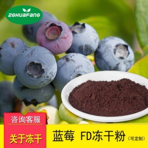 FD凍干藍莓粉 果蔬凍干粉 凍干食品 水果凍干廠家航天食品